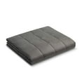 thumbnail image 1 of Lomi Microfiber 10 lb Weighted Blanket, Grey, 1 of 3