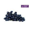 thumbnail image 1 of Raisins bleues biologiques, 1 of 1