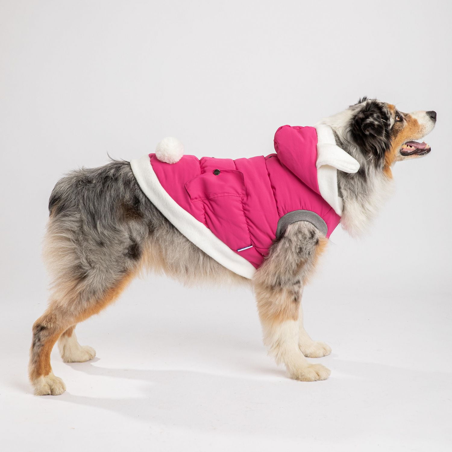 Pmp dog hot sale jacket