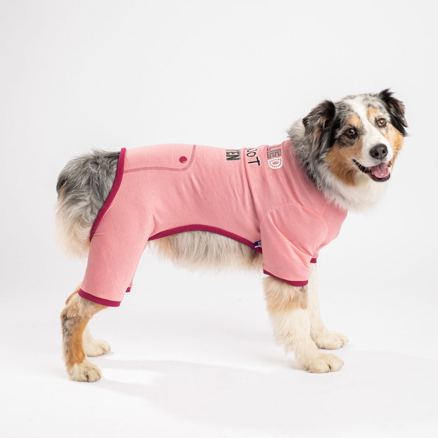 Pmp best sale dog clothes