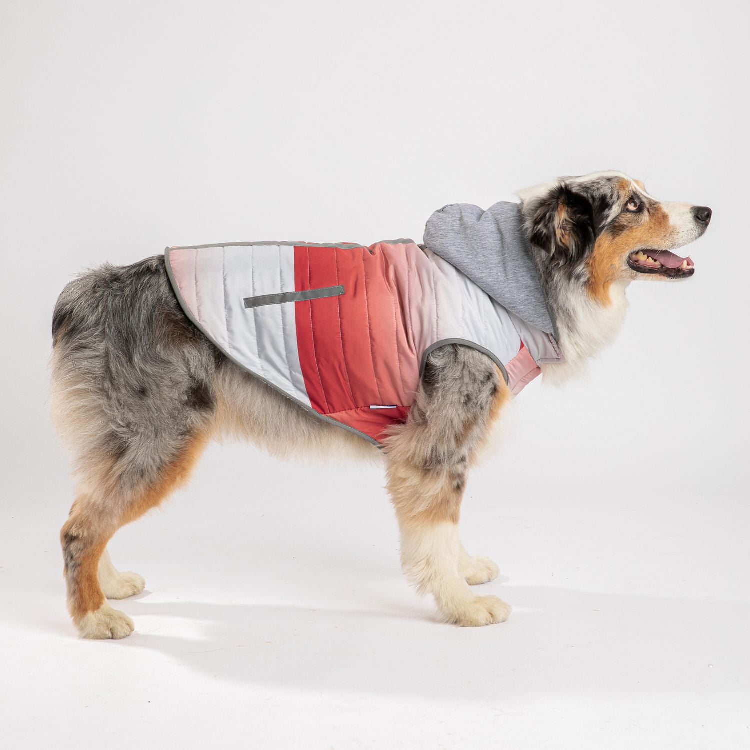 pmp dog jacket