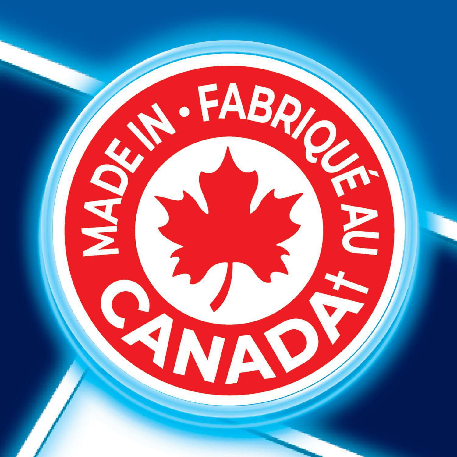 Ruffles Poutine Flavoured Potato Chips