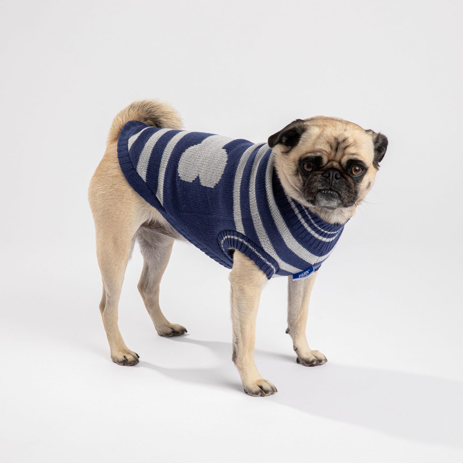 PMP sweater for dogs Walmart Canada