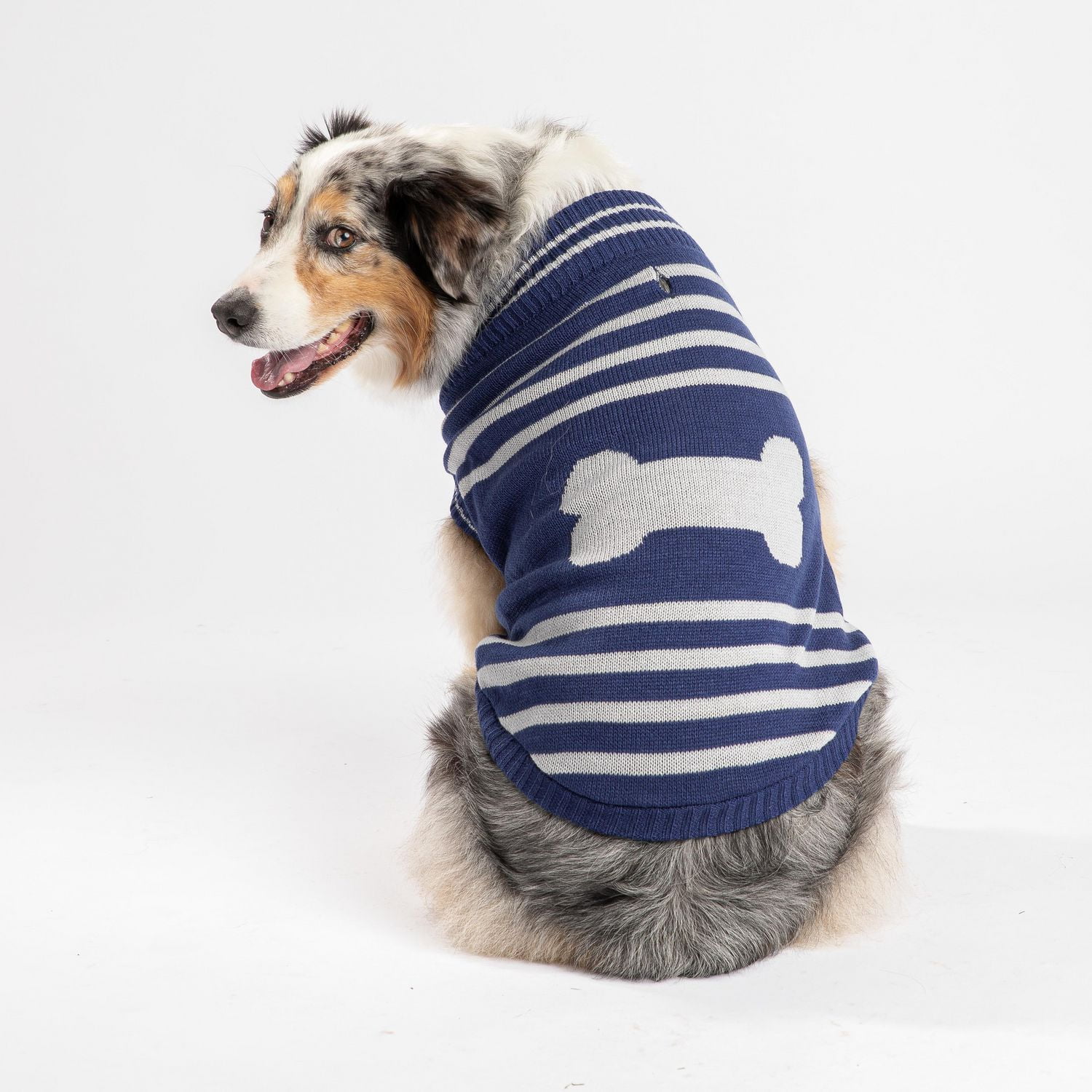 PMP sweater for dogs