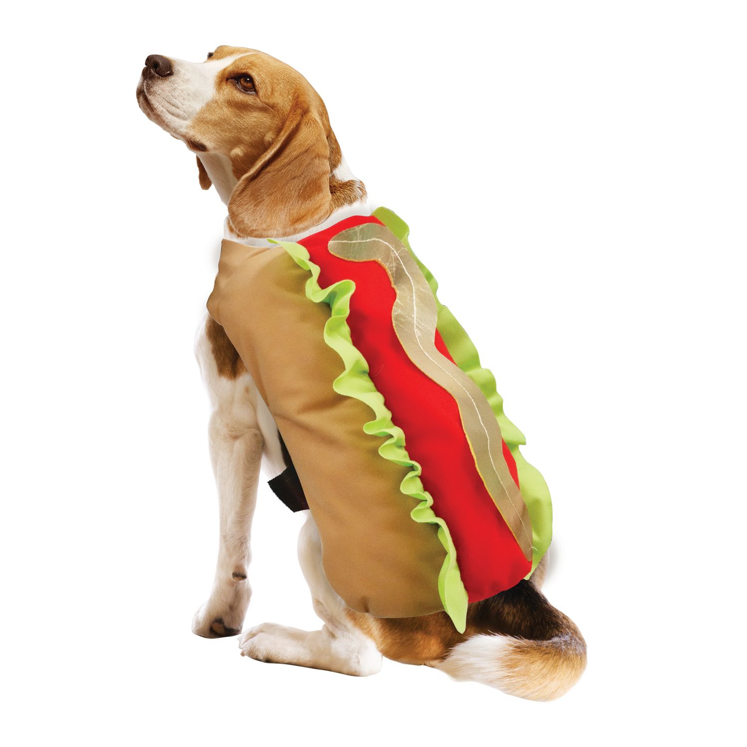 Vibrant Life Halloween Dog Costume, Cat Costume and Pet Costume