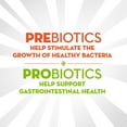 thumbnail image 4 of Align Gut Health & Immunity Prebiotic + Probiotic Gummies, citrus-flavoured, 4 of 8
