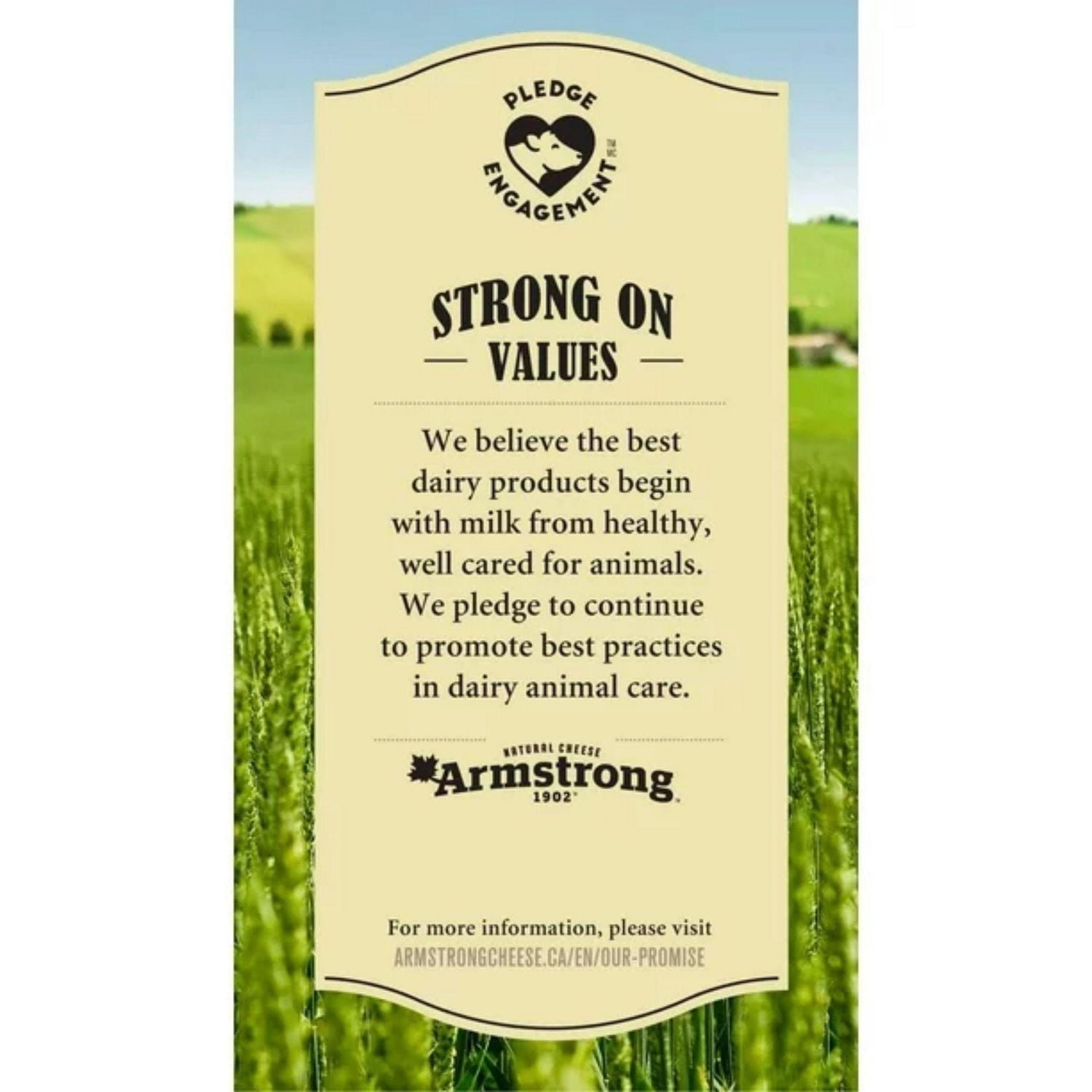 Armstrong Fromage Cheddar léger marbré 600 g