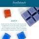 Cubes de cire parfumée ScentSationals - Juteuse 2,5 fois (70,9 g) – image 4 sur 4
