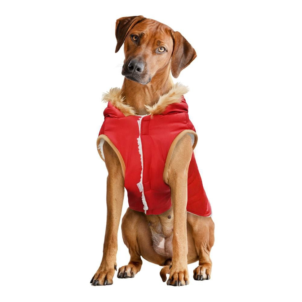 Dog fall clearance clothes