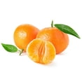 thumbnail image 3 of Orri Mandarin, 2 lb, 3 of 3