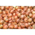 thumbnail image 2 of Onion, Yellow, 2 of 3
