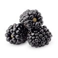 thumbnail image 1 of Organic Blackberries, 1 of 1