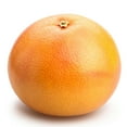 thumbnail image 1 of Grapefruit, Large Red, Sold in singles, 1 of 1