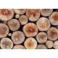 thumbnail image 1 of Canadiana Paper Placemats, 1 of 2