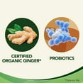thumbnail image 2 of Gravol Ginger Traveler's Shield Probiotic - Nausea & Upset Stomach Relief - Reduces Risk of Traveler's Diarrhea - Non-Drowsy, 24 Capsules, 2 of 7