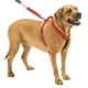 Sporn Ultimate Control Dog Harnais de marche – image 4 sur 9