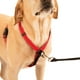 Sporn Ultimate Control Dog Harnais de marche – image 5 sur 9