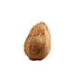 thumbnail image 1 of Pooja Noix de Coco Single, 1 of 3