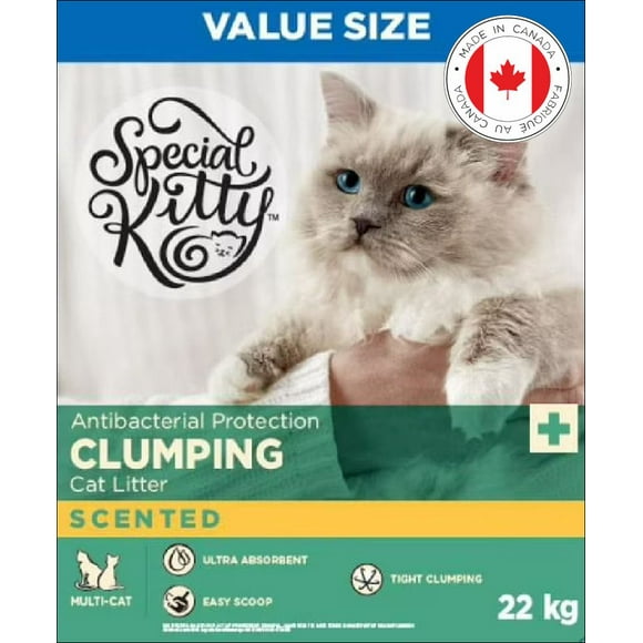 Antibacterial Protection Clumping Cat Litter - Scented, 22 KG