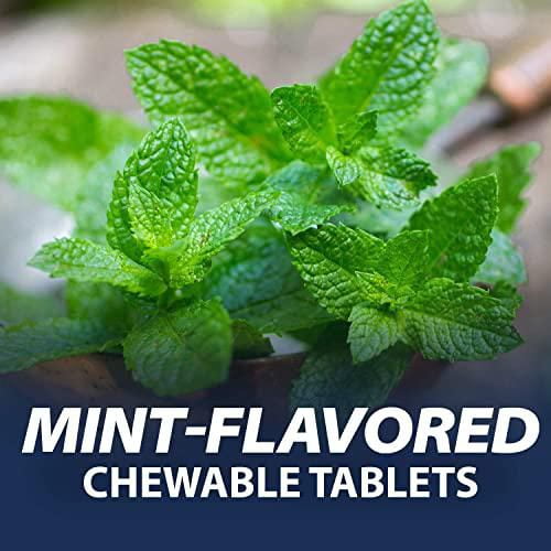 Rolaids Extra Strength Antacid, Mint Flavour, 96 Count, Fast & Effective Relief of Heartburn, 96 tablets