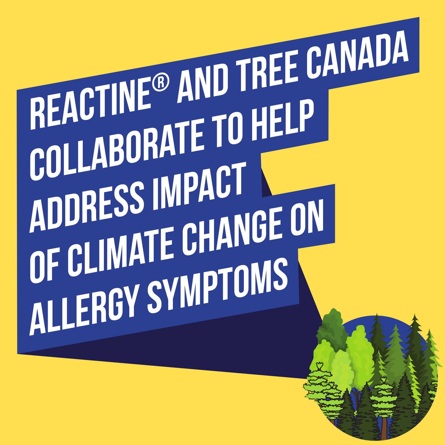 Reactine Extra Strength Antihistamine Tablets - 10mg Cetirizine Hydrochloride