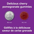 thumbnail image 4 of Webber Naturals ® Vitamin B12 Gummies, 1000 Mcg, 4 of 9