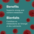 thumbnail image 3 of Webber Naturals ® Vitamin B12 Gummies, 1000 Mcg, 3 of 9
