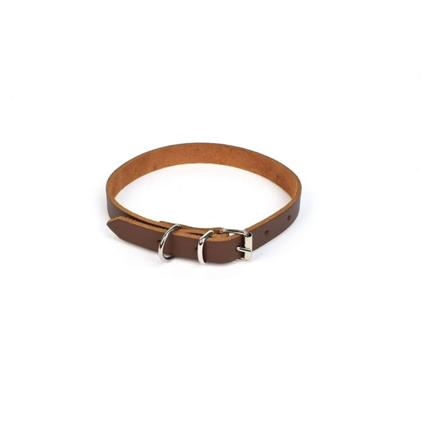 Canadiana Italian Leather Dog Collar, A dog collar with design