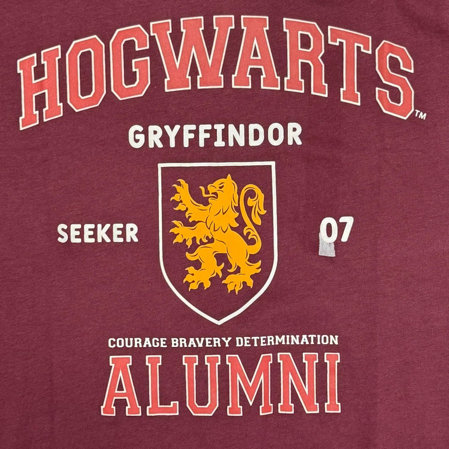 T-shirt à manches courtes des anciens élèves de Harry Potter pour hommes Tailles: P-TG