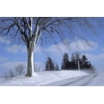 thumbnail image 1 of Arbre Route En Hiver, 1 of 1