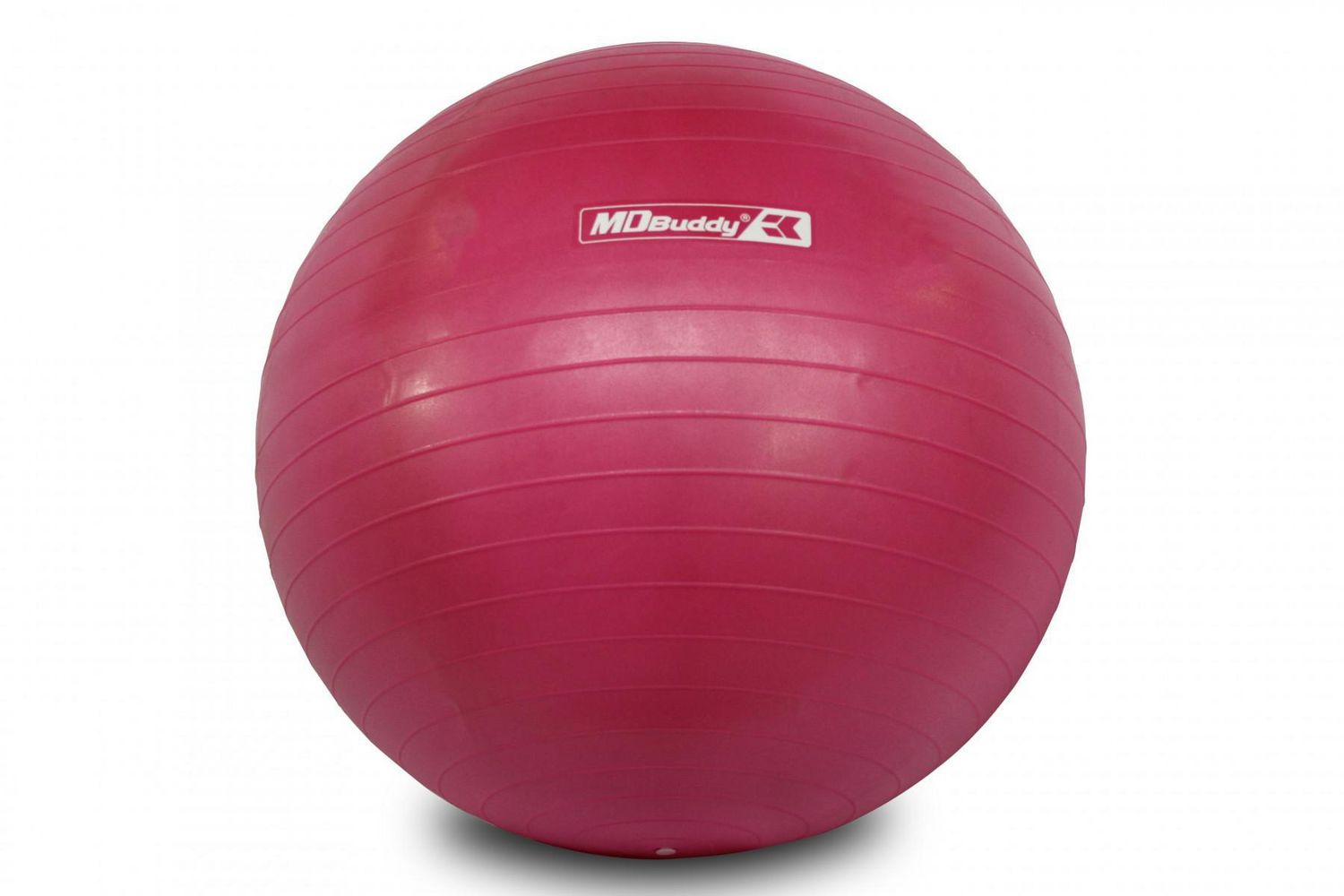 MD Buddy 55cm Anti-burst Stability Ball with Pump 