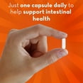 thumbnail image 3 of Align Probiotic Supplement, 3 of 9