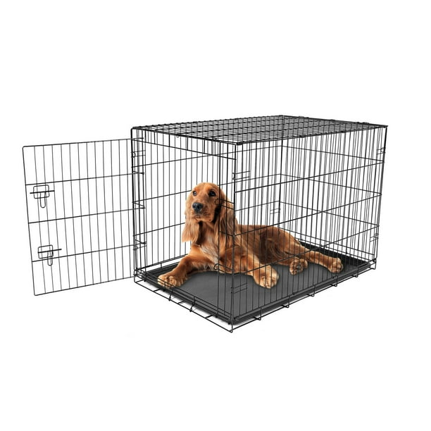 Cage en métal pour chiens à faible encombrement de Carlson Pet Products à 1 porte à verrouillage avec cloison