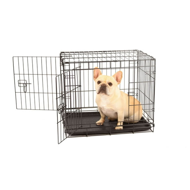 Cage en métal pour chiens à faible encombrement de Carlson Pet Products à 2 portes à verrouillage avec cloison