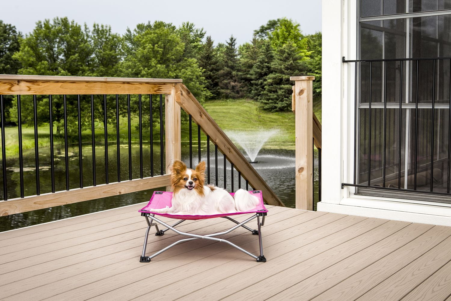 Carlson Pet Products Portable Pup Travel Pet Bed Walmart Canada