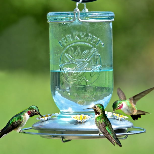 Abreuvoir à colibri First Nature
