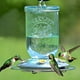 Abreuvoir à colibris en forme de bocal Mason de Perky-Pet - 1 L (32 oz) – image 2 sur 8
