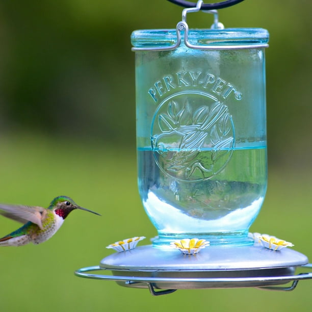 Mangeoire à oiseaux en pot Mason pour colibris
