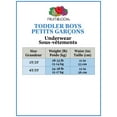 thumbnail image 3 of Fruit of the Loom Toddler Boys 5-Pack Boxer Brief, 3 of 5