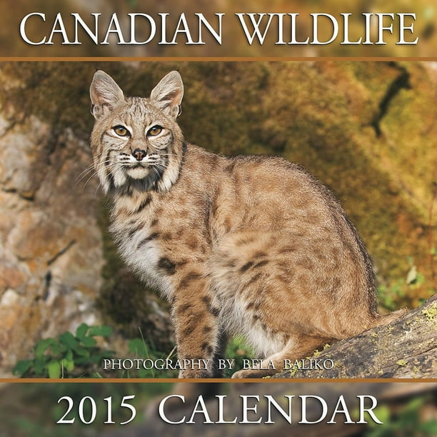 2015 Mini Calendrier des Faunes sauvages Canadiennes du photographe Bela Baliko