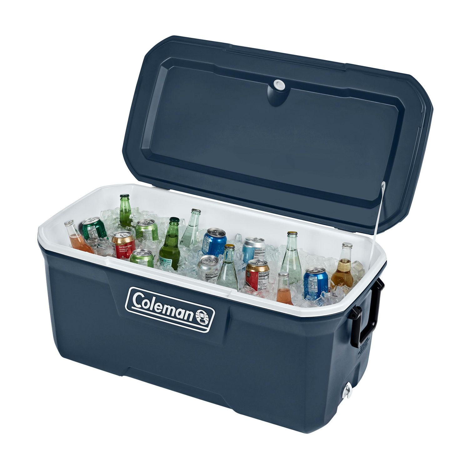 Cooler with hot sale speakers walmart