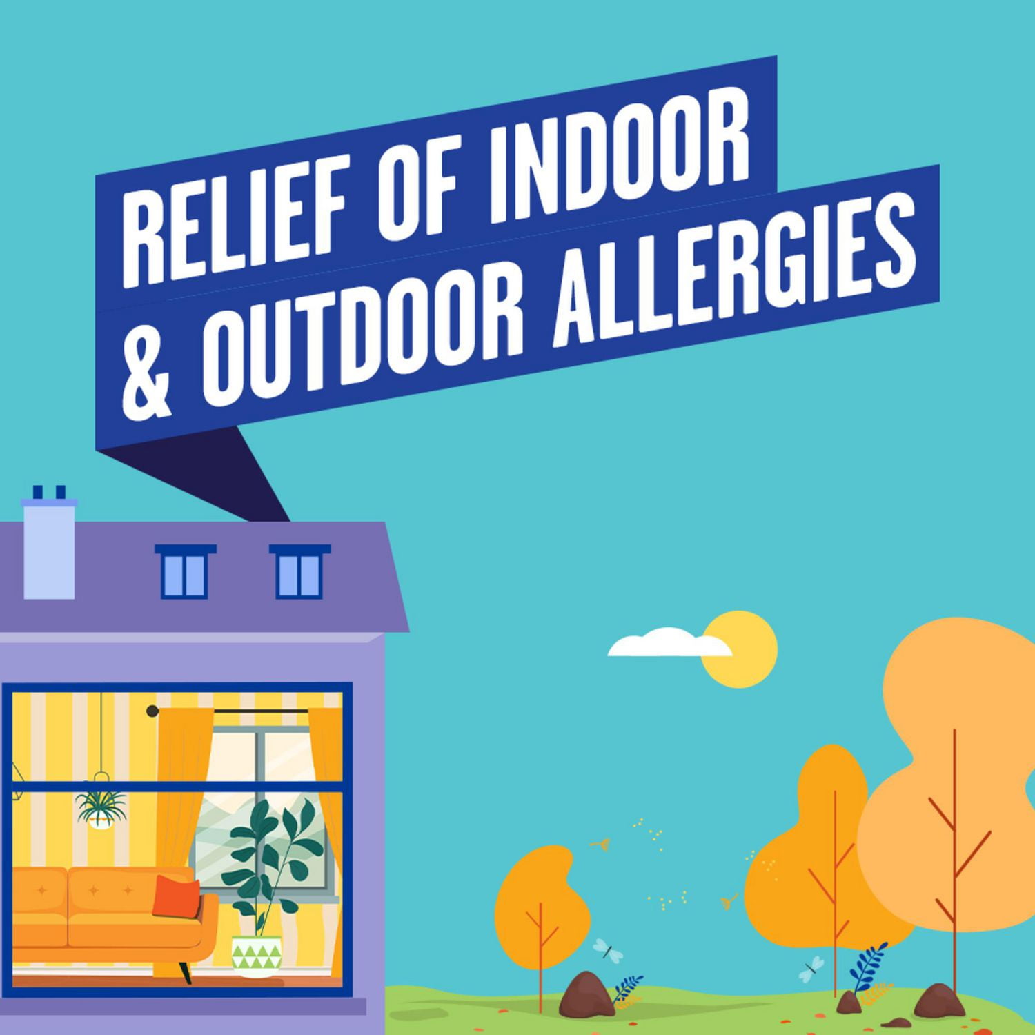 Reactine Extra fort, comprimés antiallergiques/antihistaminiques, chlorhydrate de cétirizine à 10 mg, soulagement 24 h 48 Comprimés