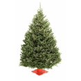 thumbnail image 1 of Sapin de Noël Fraser 8-9', 1 of 5