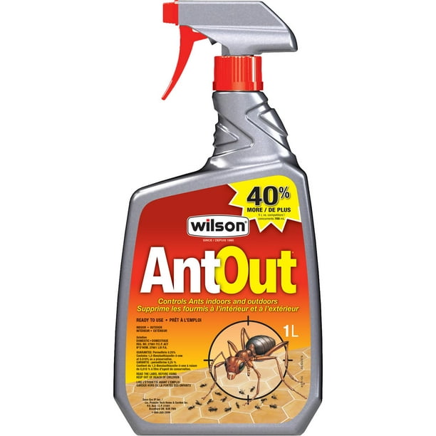 RAID Aérosol anti-fourmis et cafard