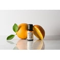 thumbnail image 3 of Orange Essential Oil, 3 of 3