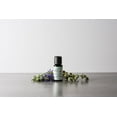 thumbnail image 3 of Wind Down Essential Oil Blend, 3 of 4