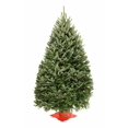 thumbnail image 1 of Arbre de Noël baume 6-7 pi, 1 of 5