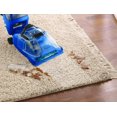 thumbnail image 4 of Hoover® Quick & Light Carpet Cleaner, 4 of 9