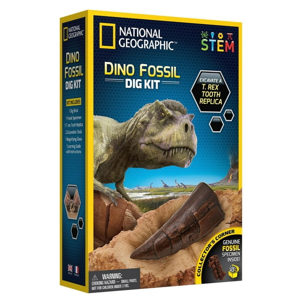 Trousse de fouille fossile dino National Geographic