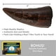 Trousse de fouille fossile dino National Geographic – image 5 sur 8